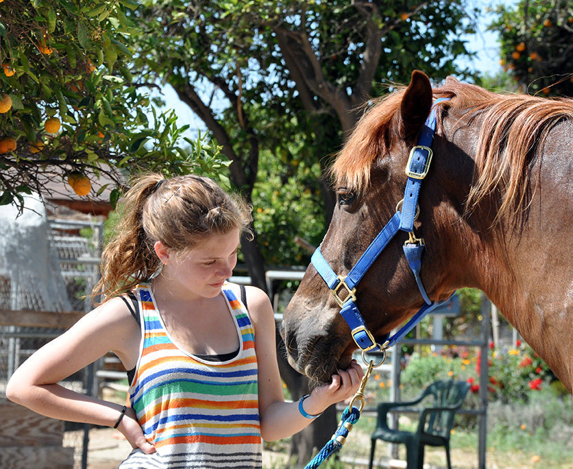California Coastal Horse Rescue - a Non-Profit Horse Rescue Organization