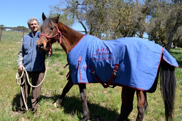 VIP Story: Peter Claydon & Remy