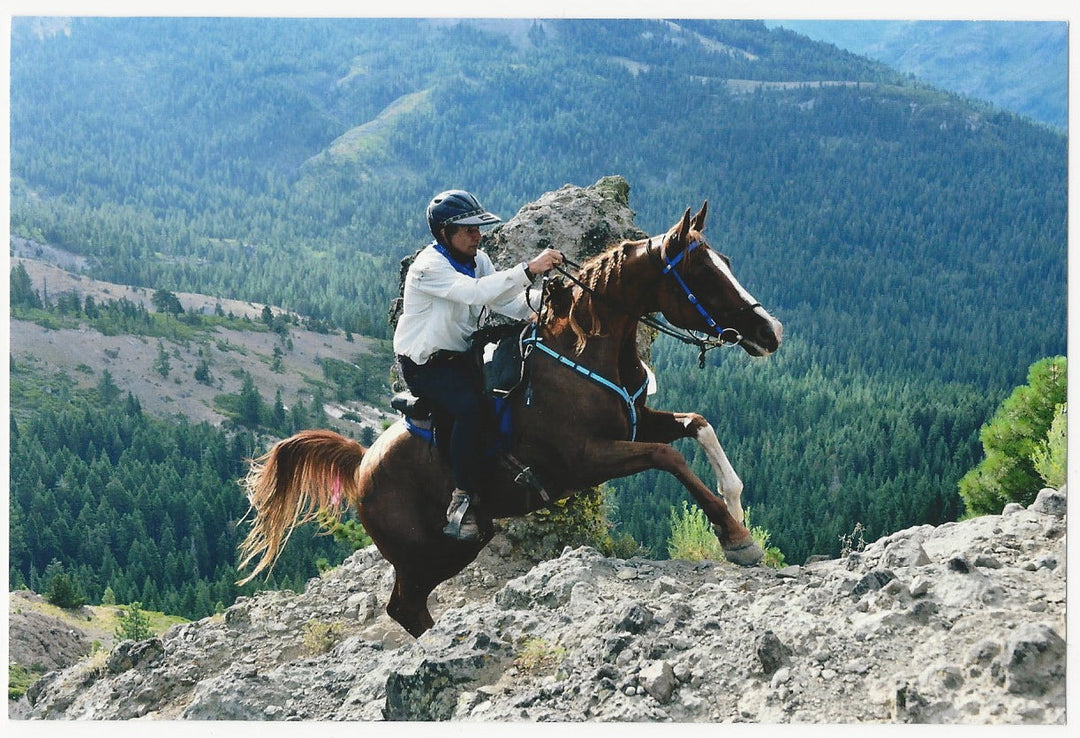 Peter Claydon and Jazzi at the 2015 Tevis Cup