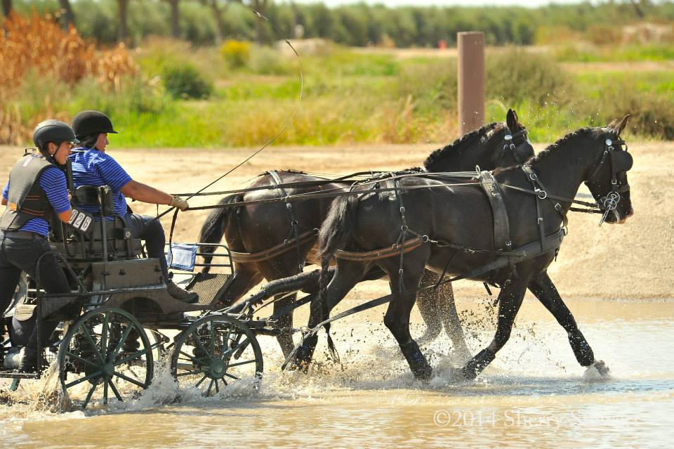 VIP Diane Kastama Rides Again & Helps Team USA Win Bronze