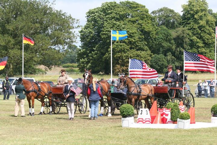 USA Wins Bronze at FEI Para-Equestrian World Championships!