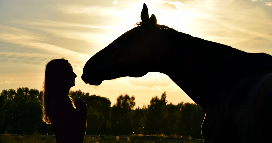 Don’t Complicate Your Horses’ Lifestyle