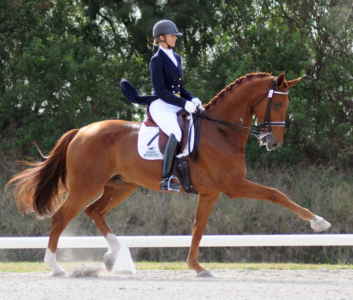 Heather Blitz Wins Four Classes at NEDA Fall Festival