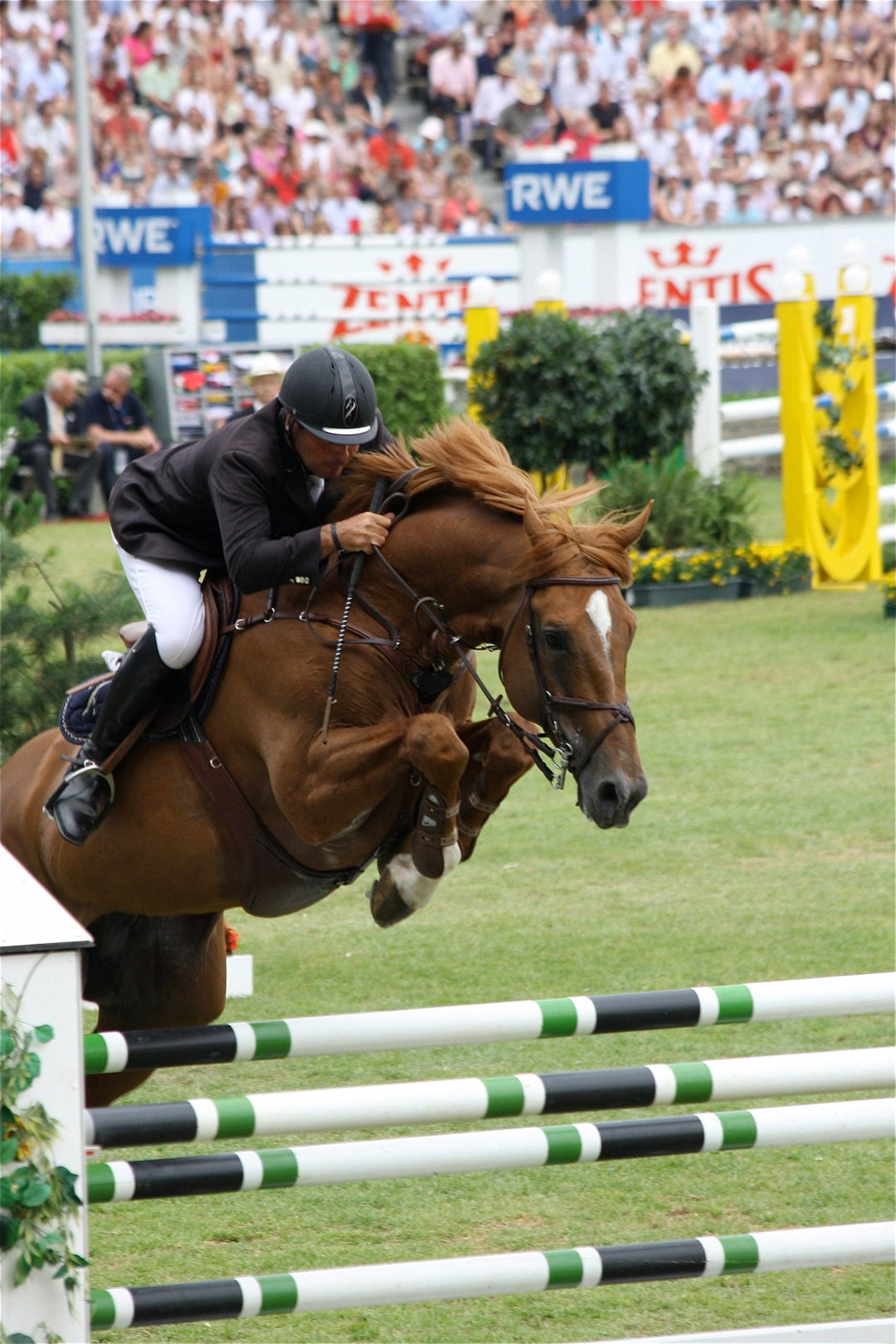 Pan Am Equestrian Games