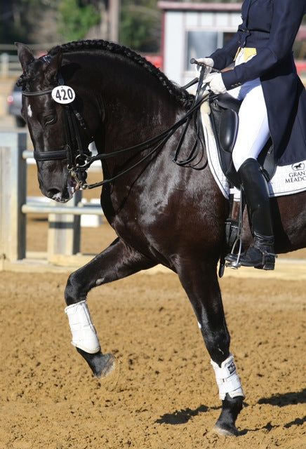 Live from the Pan American Games in Toronto!