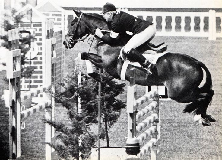 The Connemara Pony - Native Irish Horse Breed