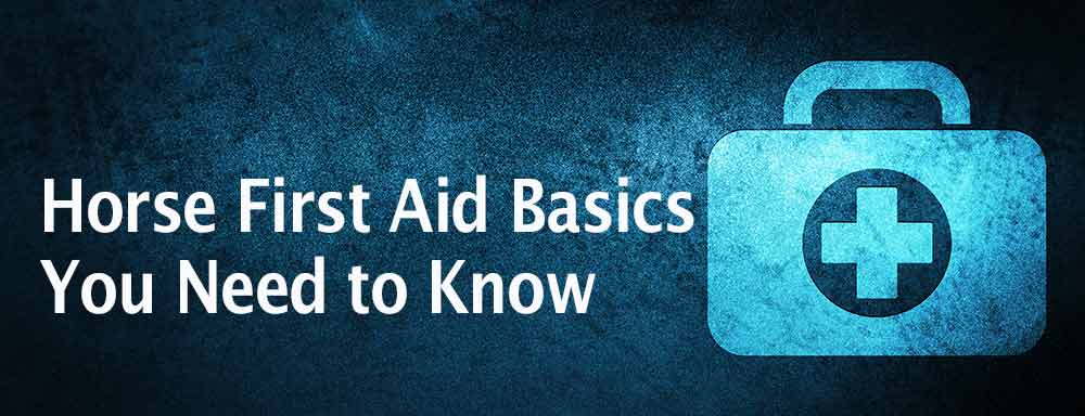 Horse First Aid Basics You Need to Know