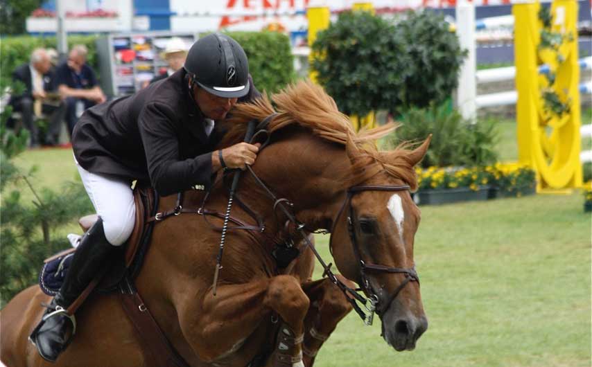 Tales of the Best Equestrian Highlights of the 2016 Rio Olympics