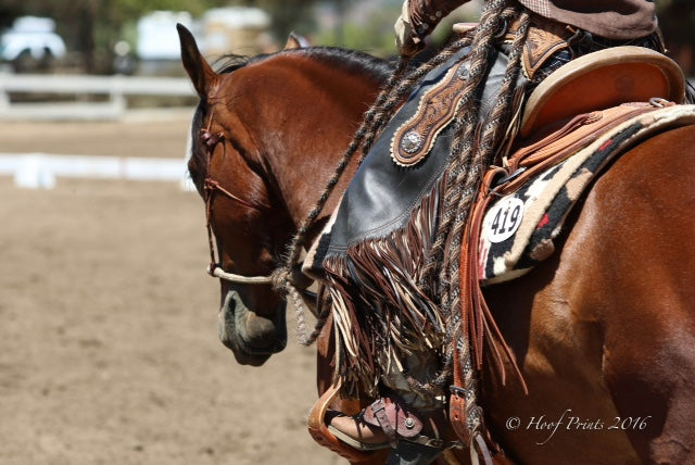 7 Horse Trainer Search Tips