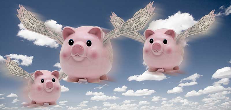 Supplement Regrows Horse’s Amputated Leg in 3 Days? A Look at Claims from Equine Supplement Manufacturers