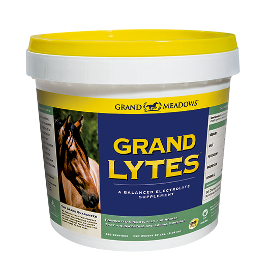Grand Lytes – Electrolytes Supplement for Horses
