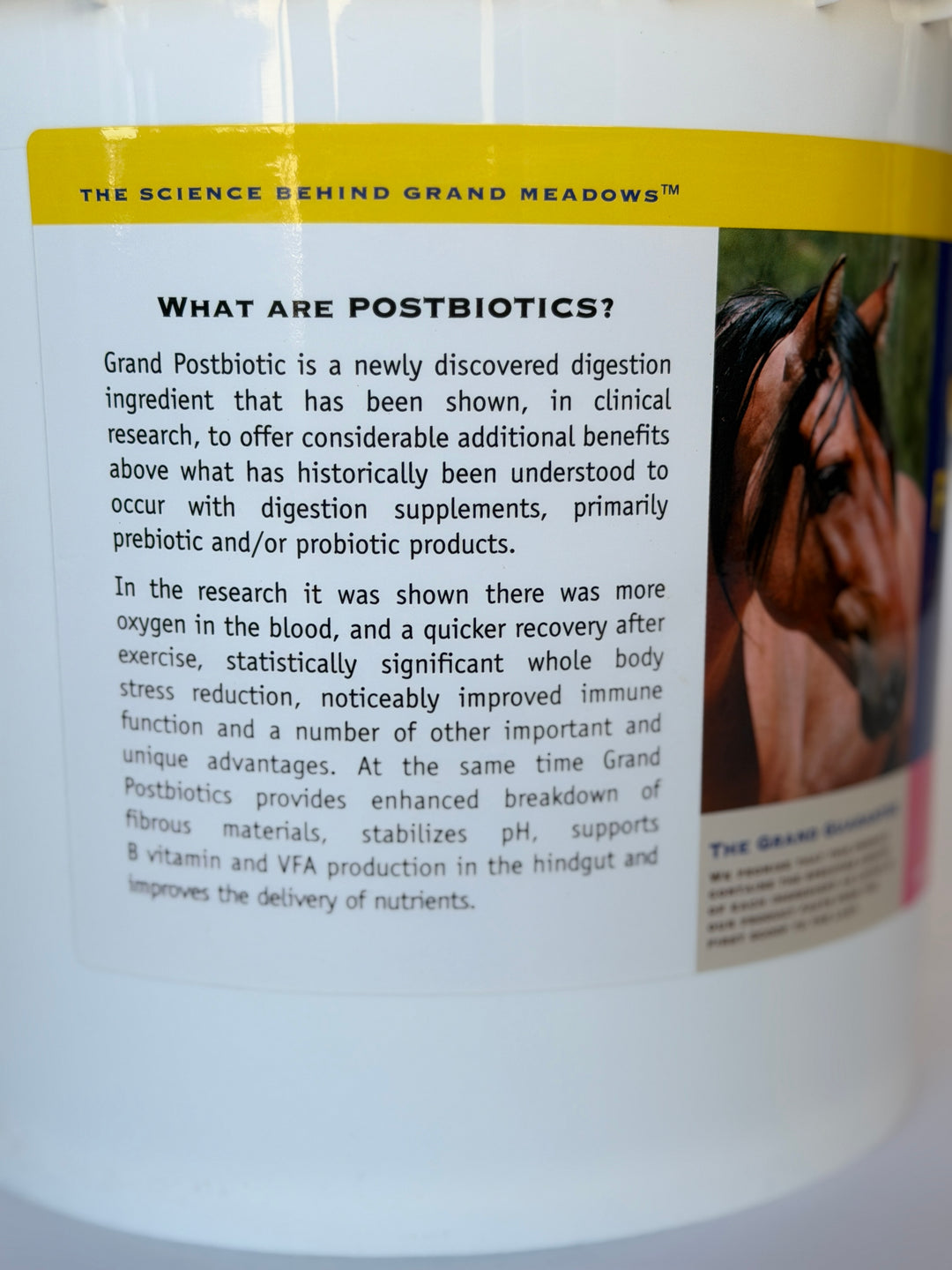 Grand Postbiotic - Postbiotics for Horses