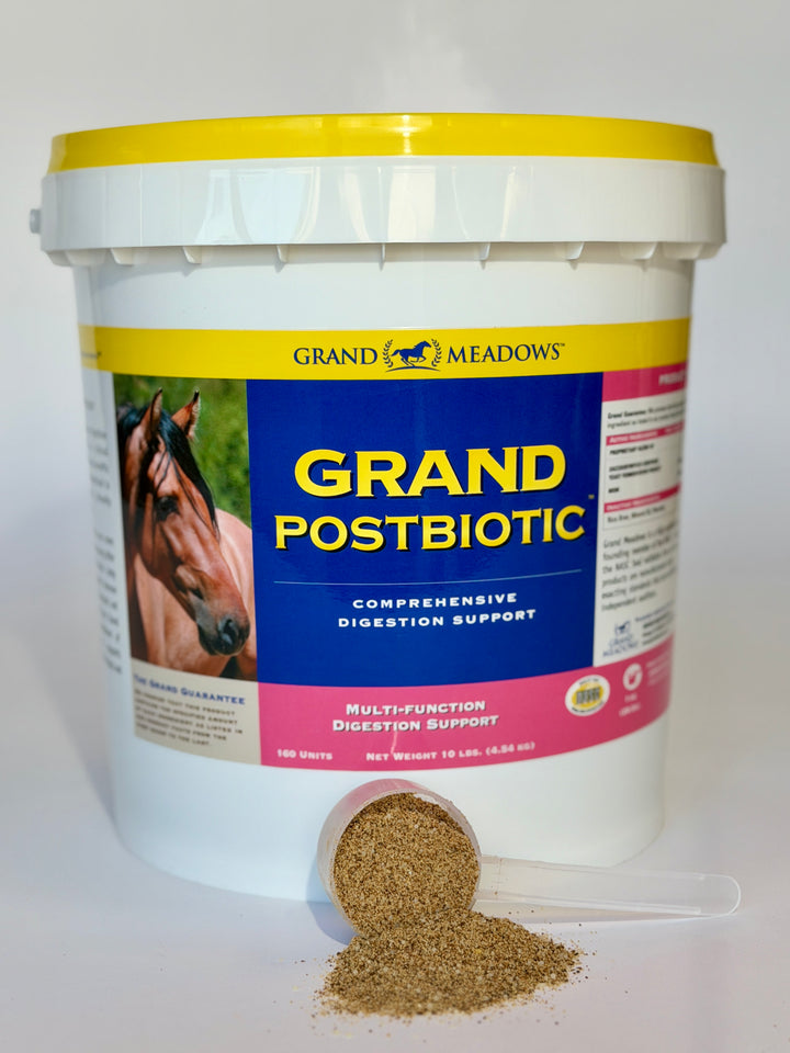 Grand Postbiotic - Postbiotics for Horses