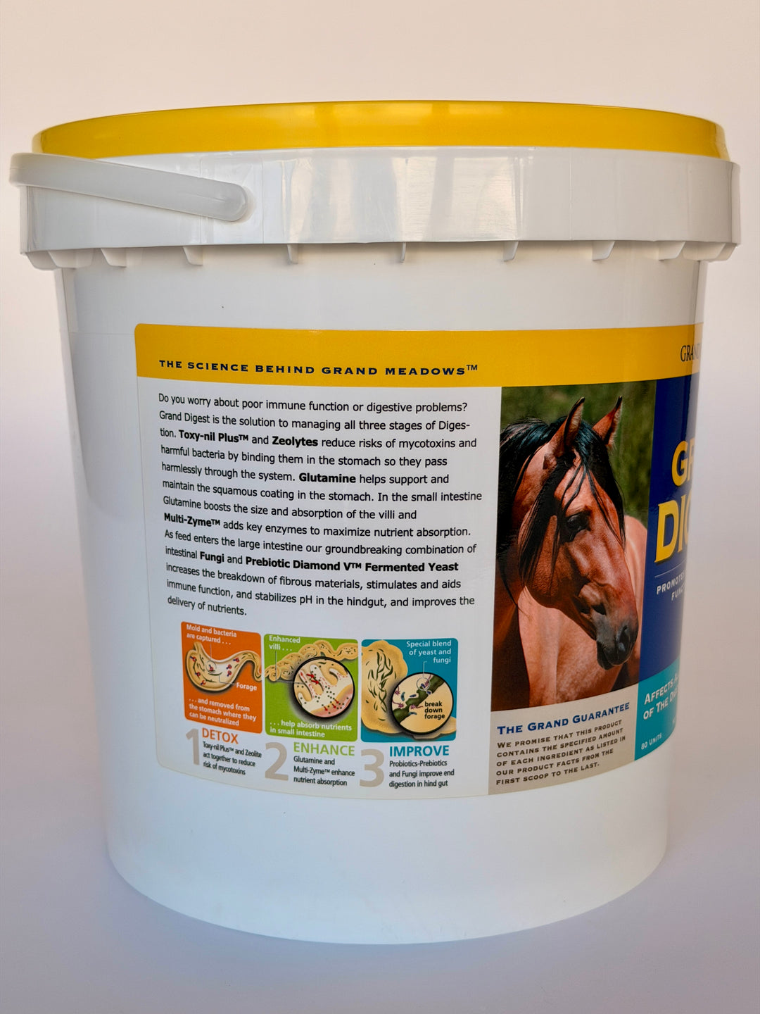 Grand Digest - Gut Supplement for Horses