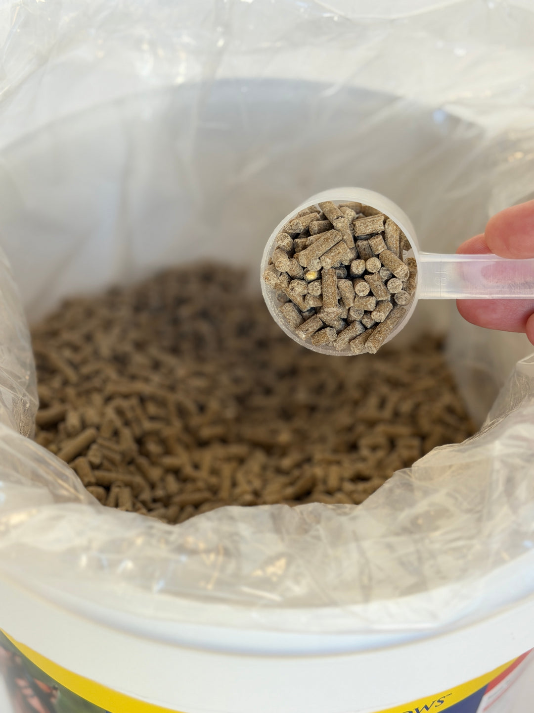 Grand Hoof Pellets + MSM