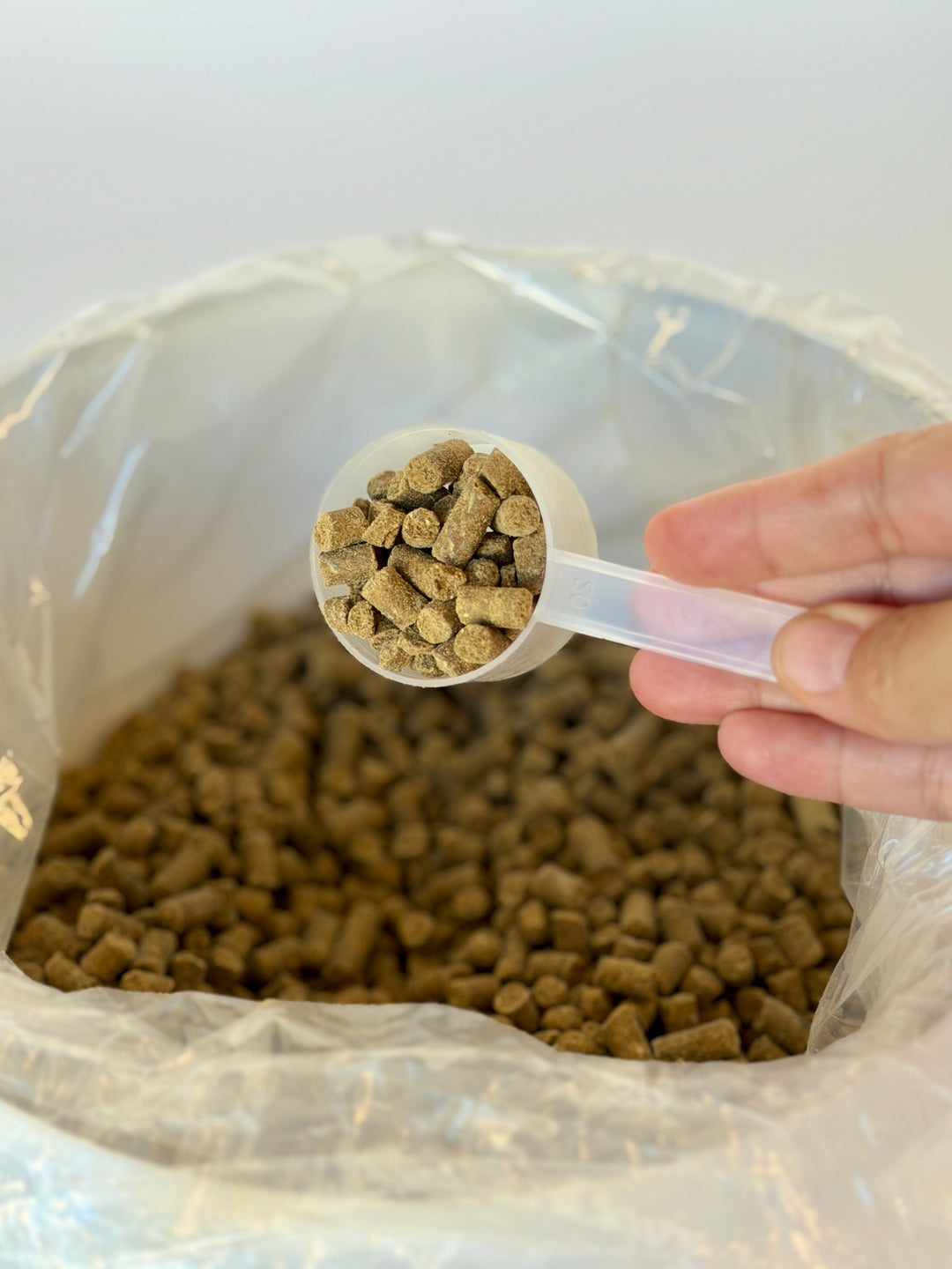 Grand Calm - Equine Supplements for Calming