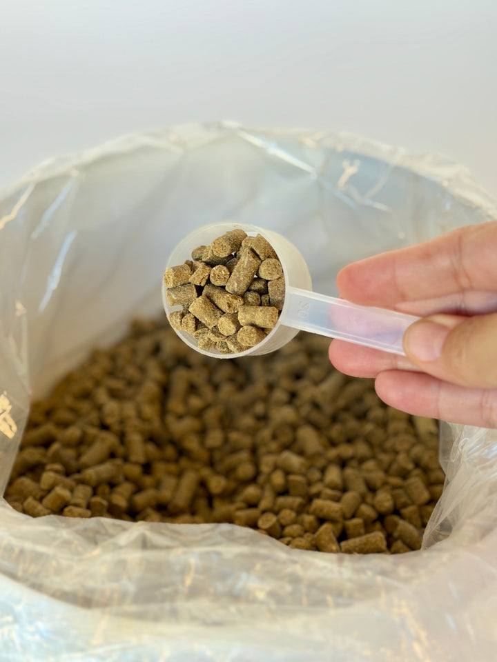 Grand Calm - Equine Supplements for Calming