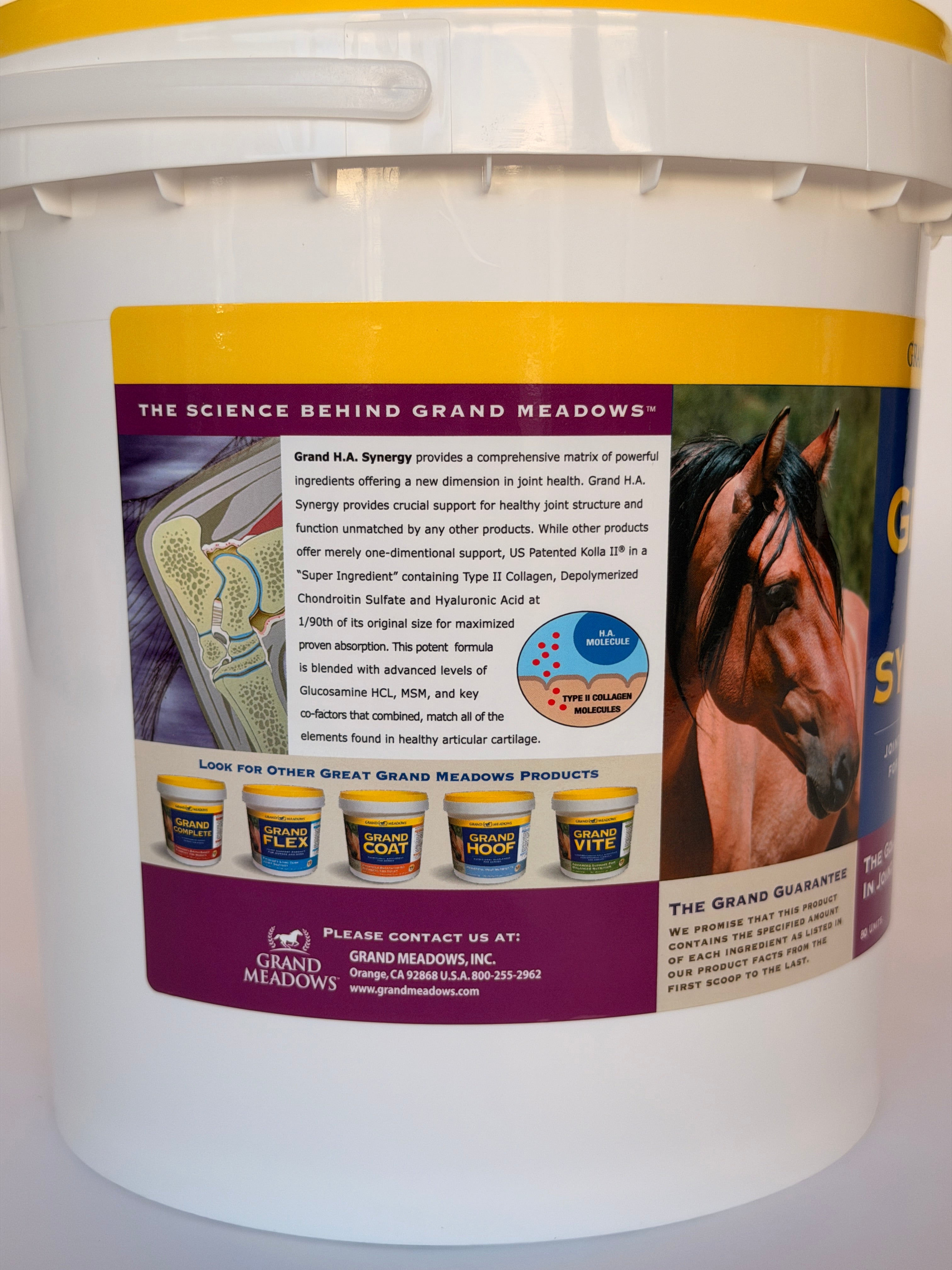 Grand H.A. Synergy Joint Support for Horses | Grand Meadows