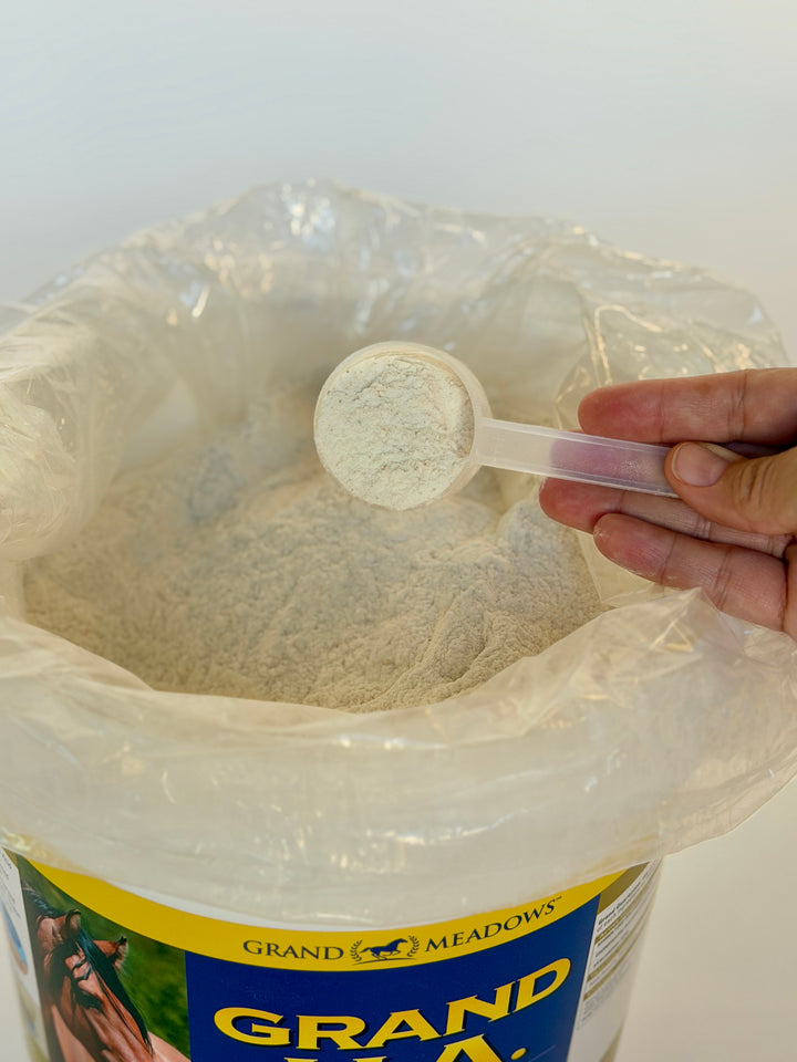 Grand H.A. – Hyaluronic Acid Horse Supplement