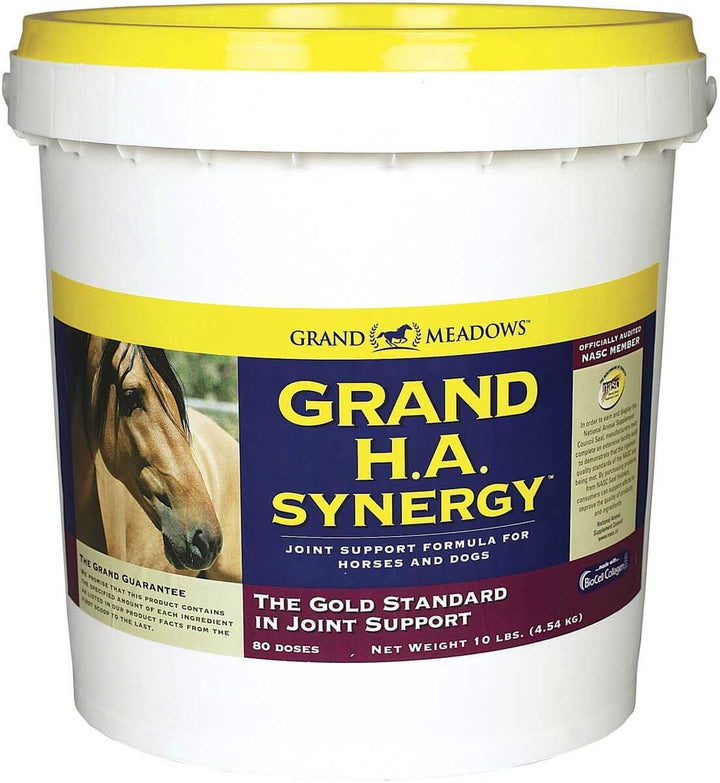 Grand H.A. Synergy – Advanced Joint Support for Dogs & Horses