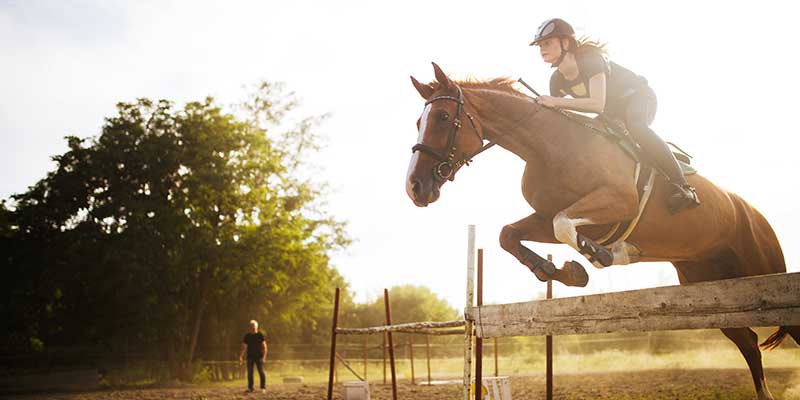 Arthritis and Your Horse